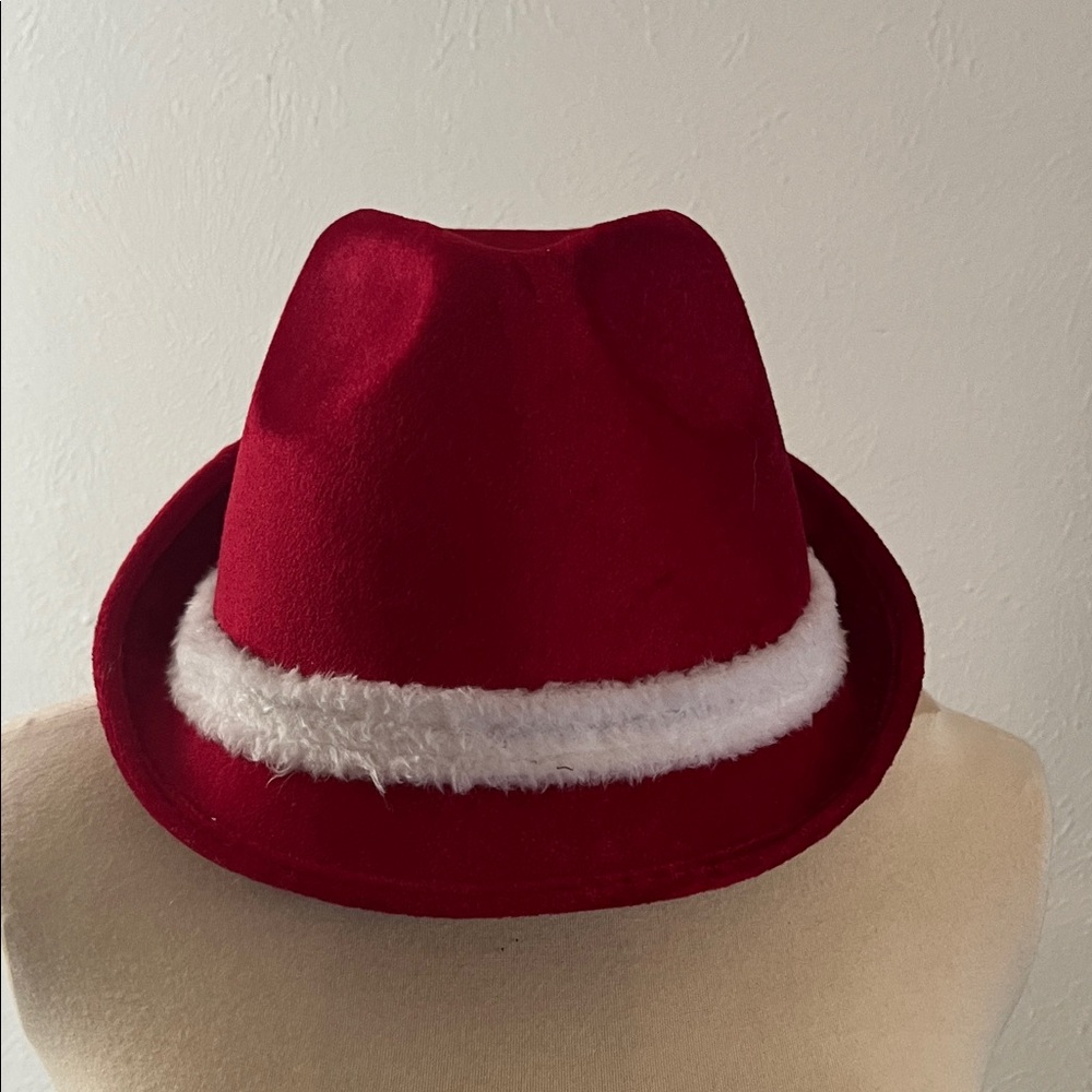 Red Santa Hat with White Trim
